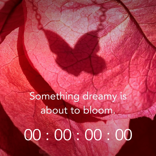 Countdown to New Collection Drop
