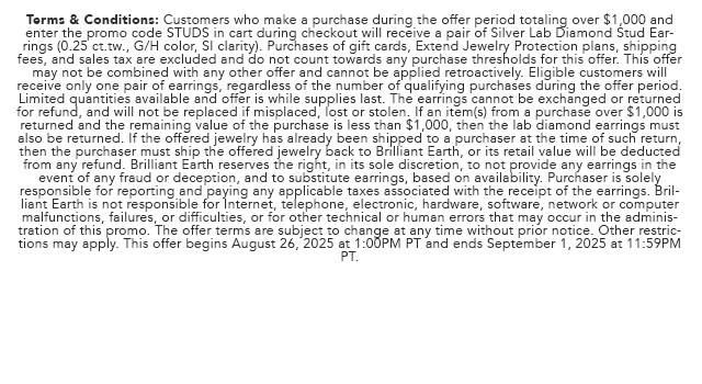 Promo Terms