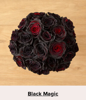 Double Your Blooms For Free