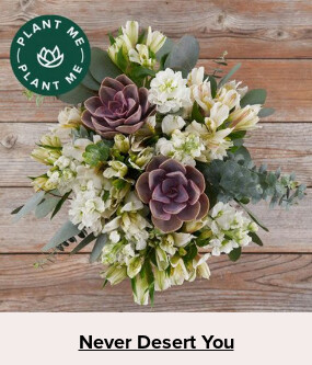 Double Your Blooms For Free