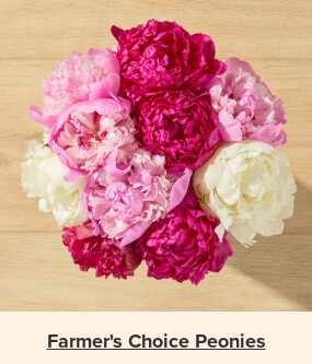 Flowers At a Great Price