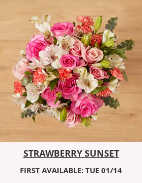 Flowers At a Great Price