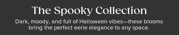 The Spooky Collection. Dark, moody, and full of Halloween vibes--these blooms bring the perfect eerie elegance to any space.