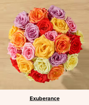 Double Your Blooms For Free