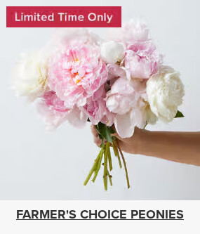 Flowers At a Great Price