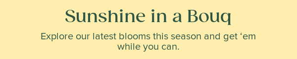 Sunshine in a Bouq.Explore our latest blooms this season and get 'em while you can.