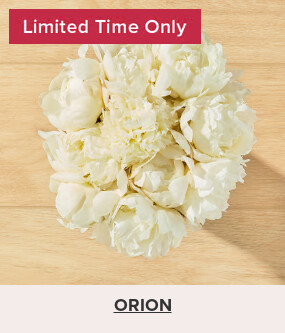 Flowers At a Great Price