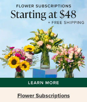 Flowers At a Great Price