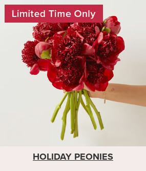 Flowers At a Great Price