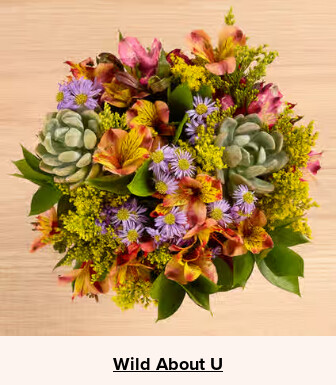 Flowers At a Great Price