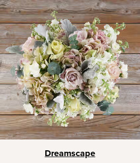 Flowers At a Great Price