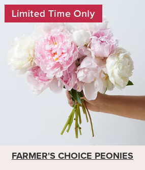 Flowers At a Great Price