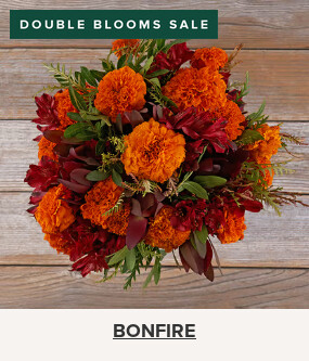 Double Your Blooms For Free