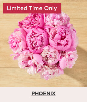 Flowers At a Great Price