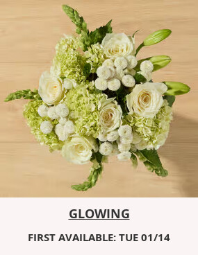 Flowers At a Great Price