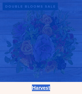 Double Your Blooms For Free