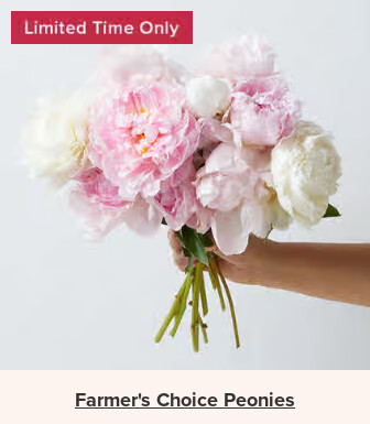 Flowers At a Great Price