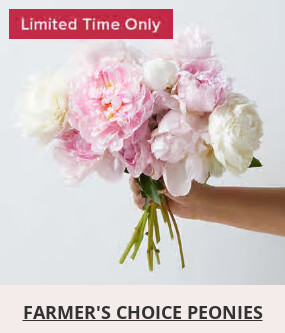 Flowers At a Great Price