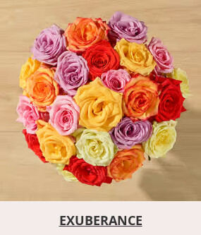 Flowers At a Great Price