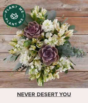 Flowers At a Great Price