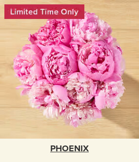 Flowers At a Great Price