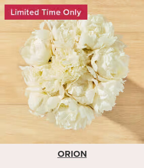 Flowers At a Great Price