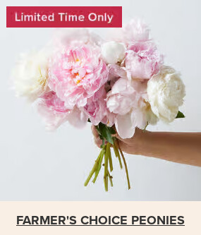 Flowers At a Great Price