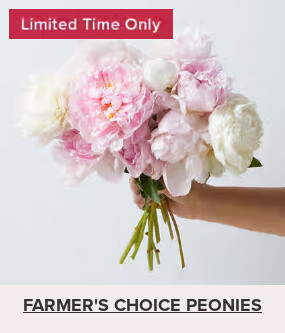 Flowers At a Great Price