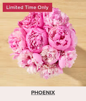 Flowers At a Great Price