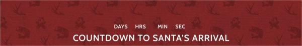 Countdown to Santa's Arrival